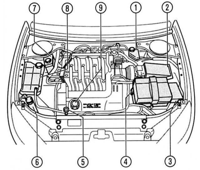 Устройство и характеристики двигателей Ford Mondeo 3